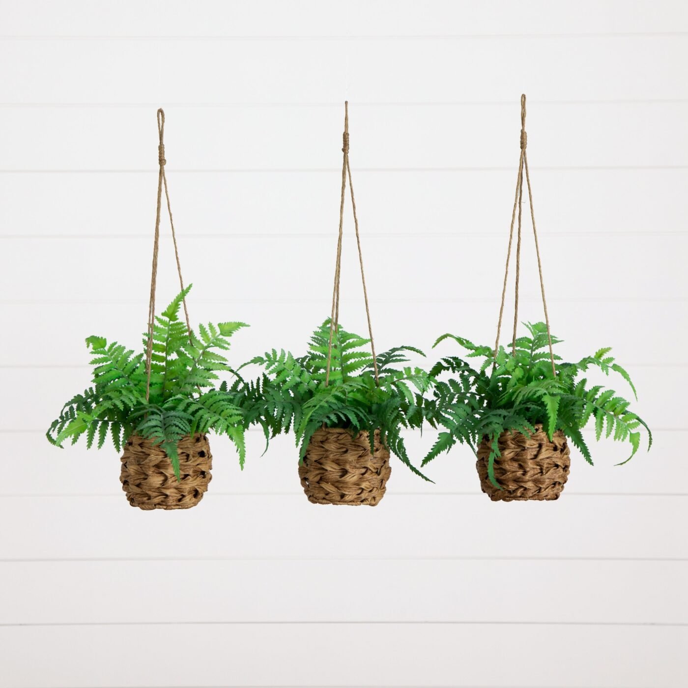 10" UV Resistant Artificial Boston Fern in Hanging Wicker Basket (Indoor/Outdoor) - Set of 3