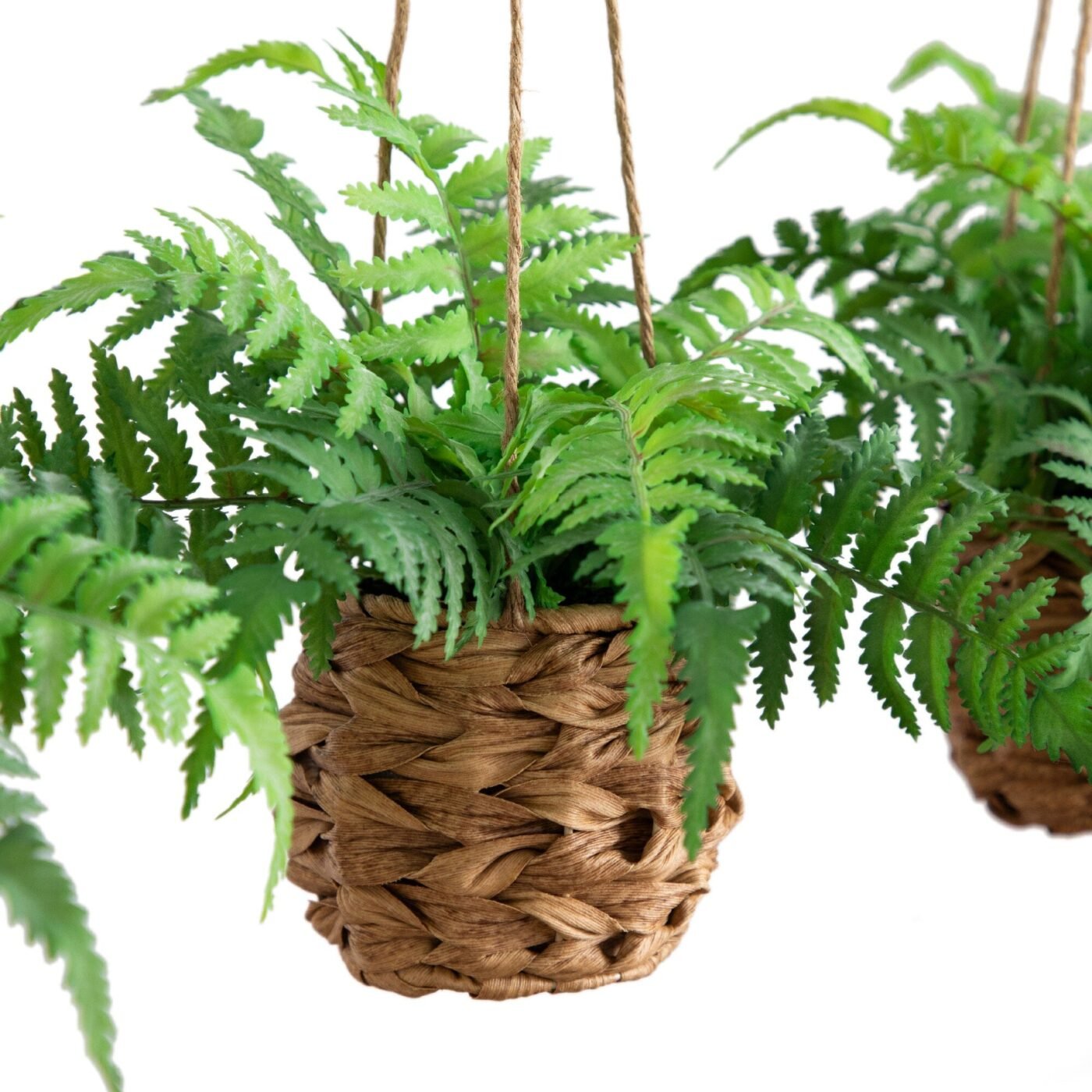 10" UV Resistant Artificial Boston Fern in Hanging Wicker Basket (Indoor/Outdoor) - Set of 3