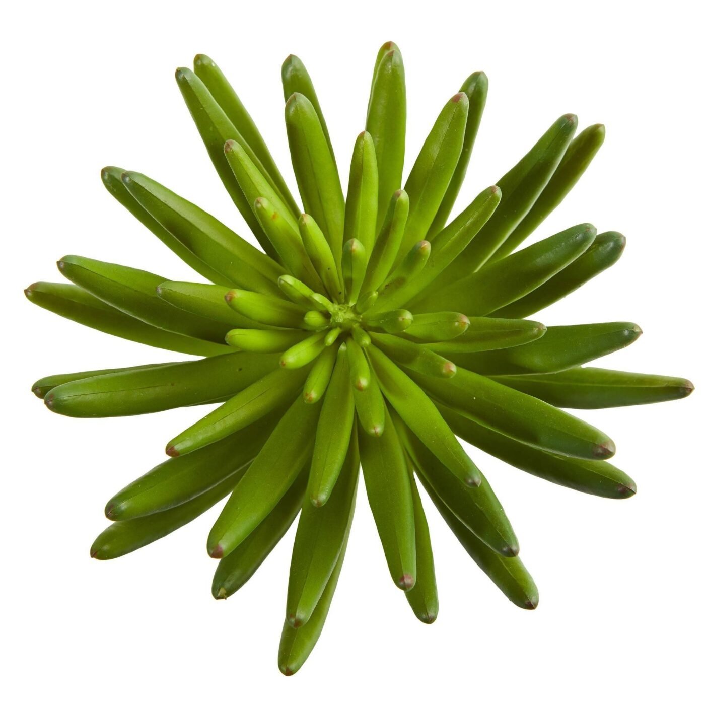 12" Succulent Artificial Plant (Set of 6)
