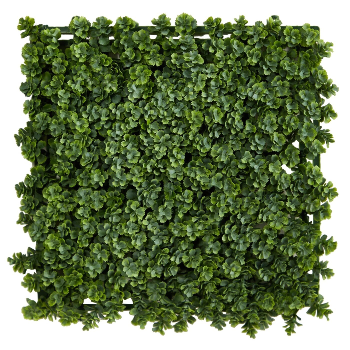 12" Succulent Artificial Wall Mat (Indoor/Outdoor) (Set of 6)