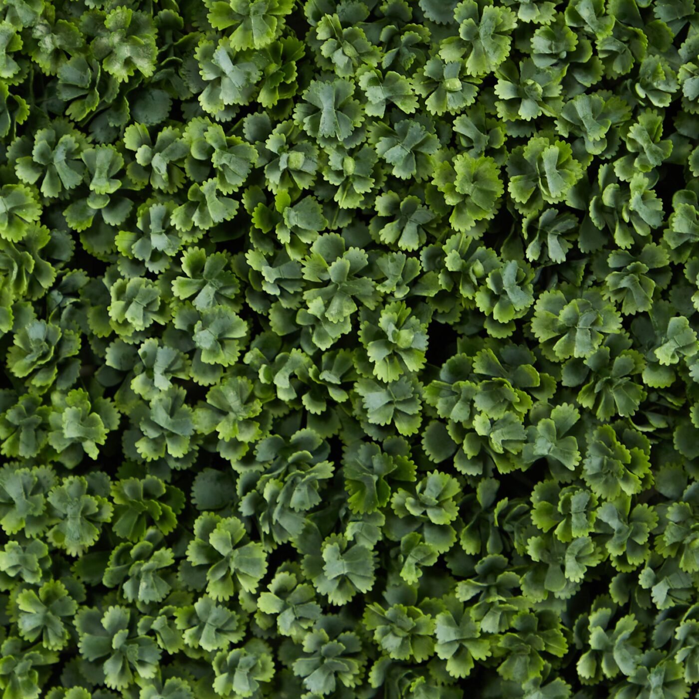 12" Succulent Artificial Wall Mat (Indoor/Outdoor) (Set of 6)