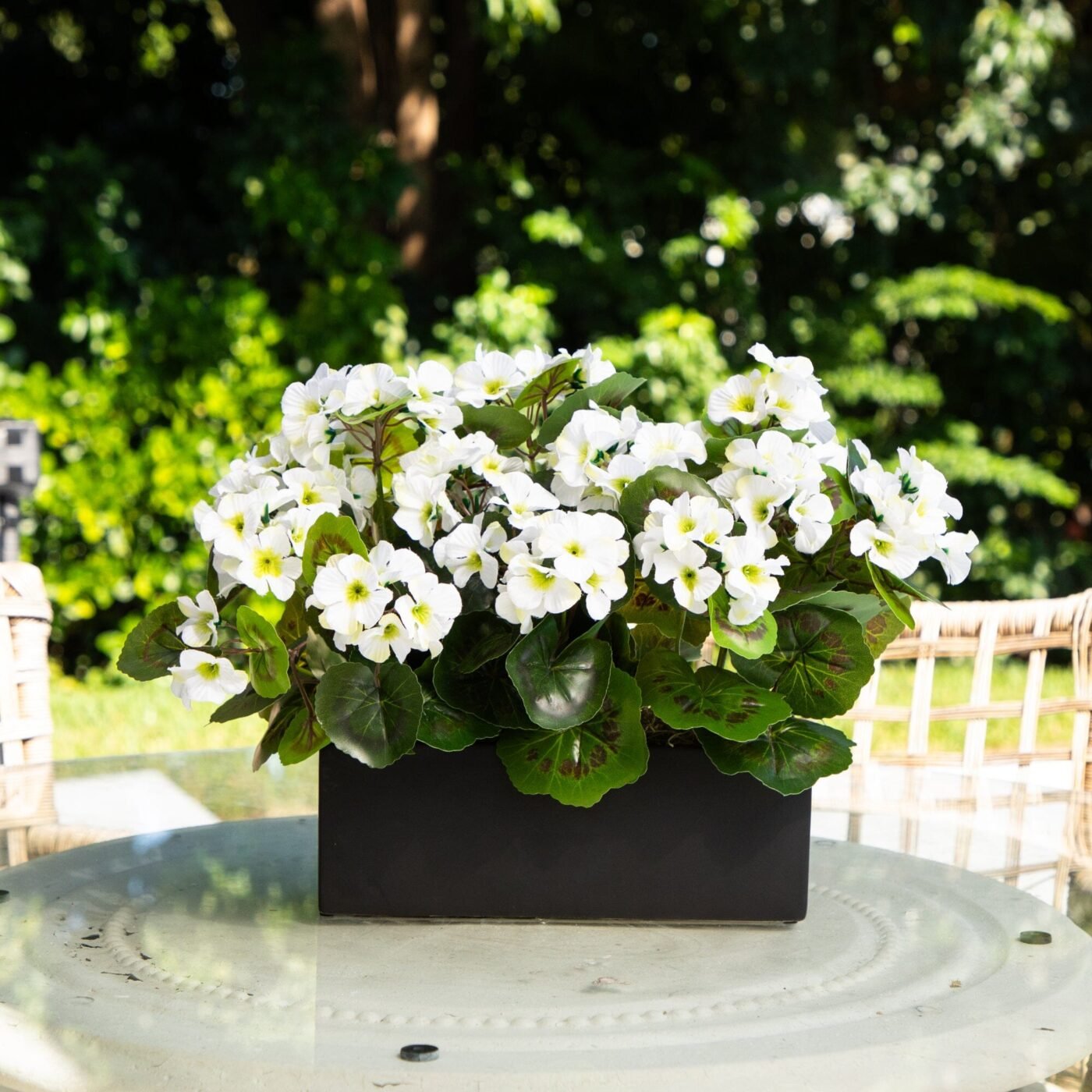 13" Geranium in Rectangular Planter UV Resistant (Indoor/Outdoor)
