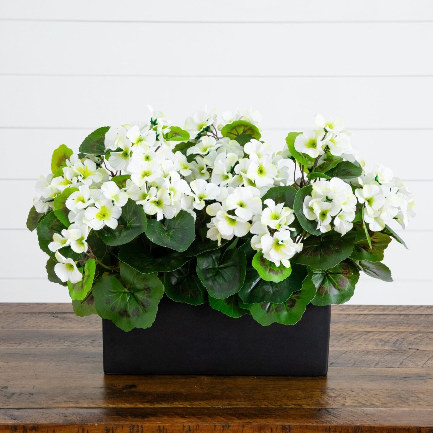 13" Geranium in Rectangular Planter UV Resistant (Indoor/Outdoor)