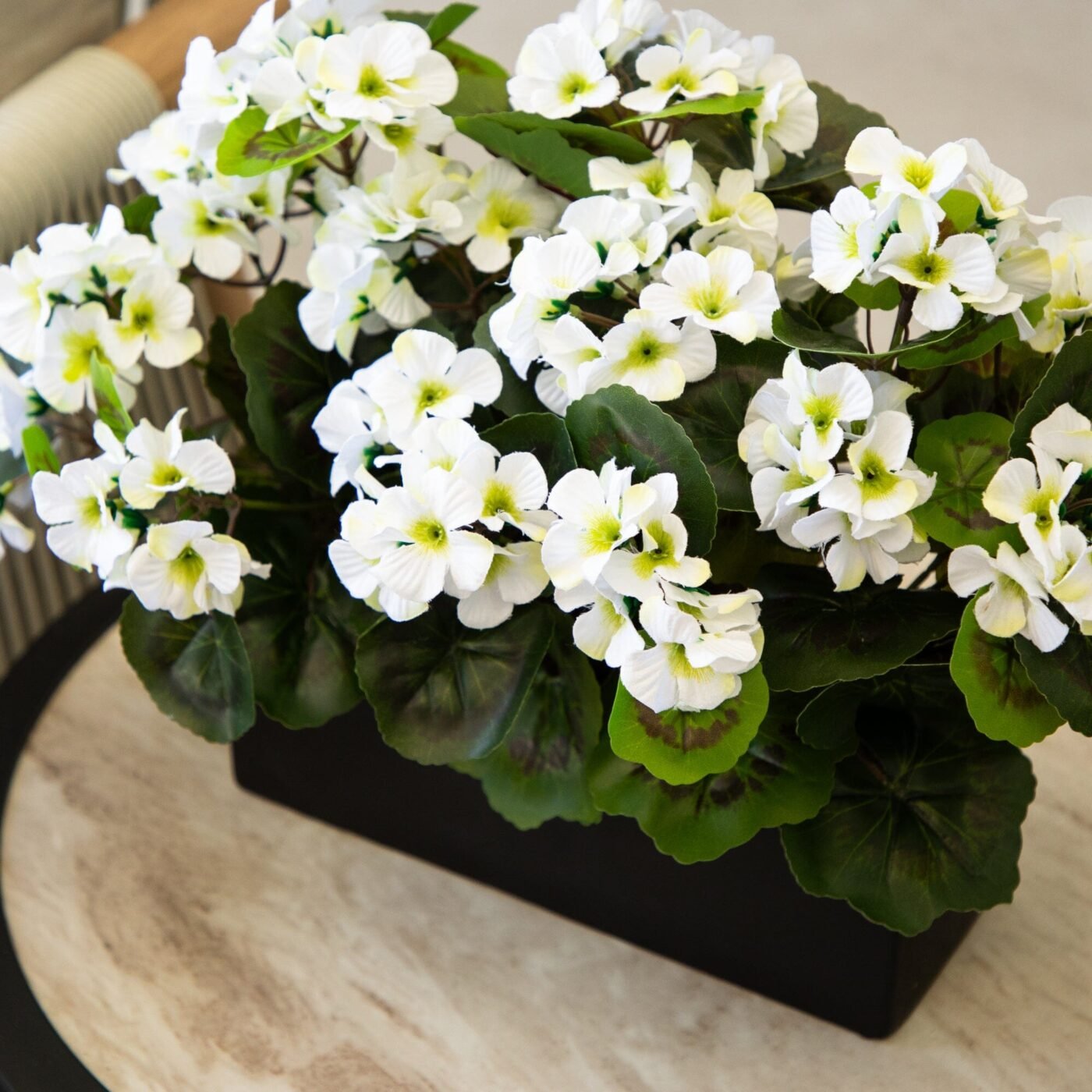 13" Geranium in Rectangular Planter UV Resistant (Indoor/Outdoor)