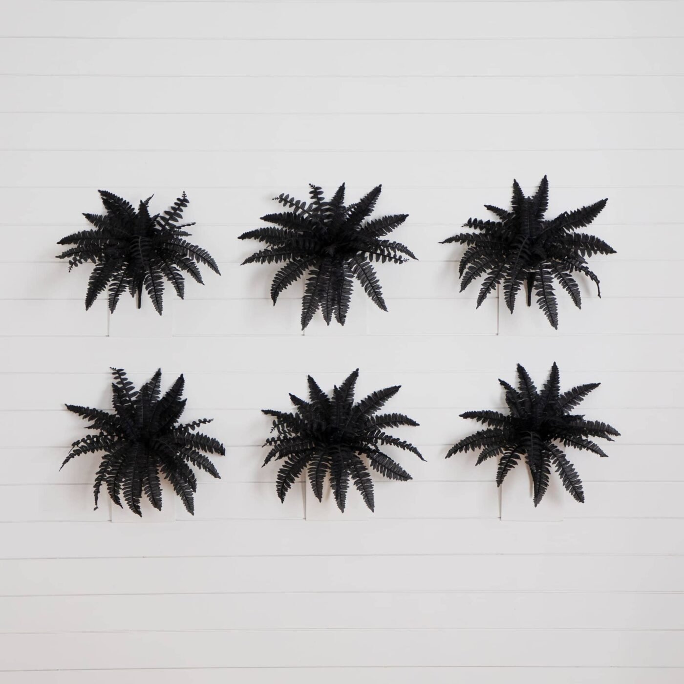19" Artificial Halloween Black Boston Fern - Set of 6