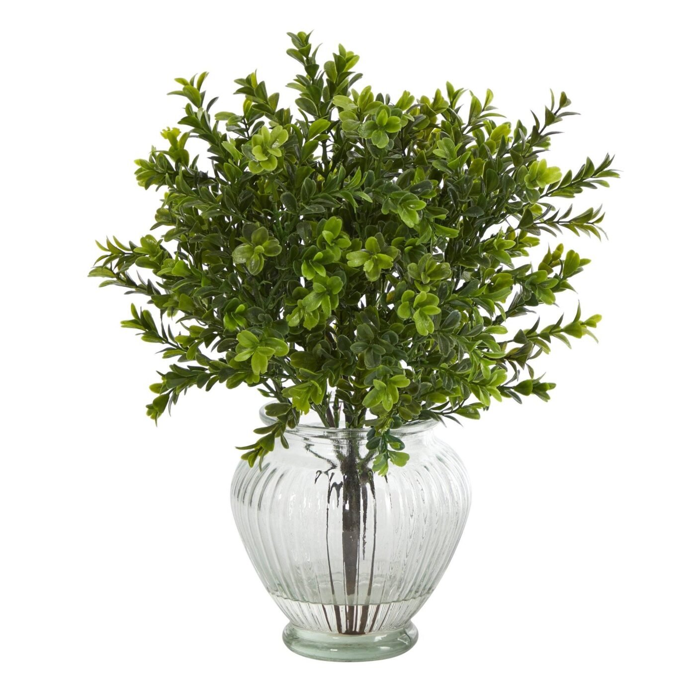 14" Boxwood Artificial Plant in Glass Planter (Indoor/Outdoor)