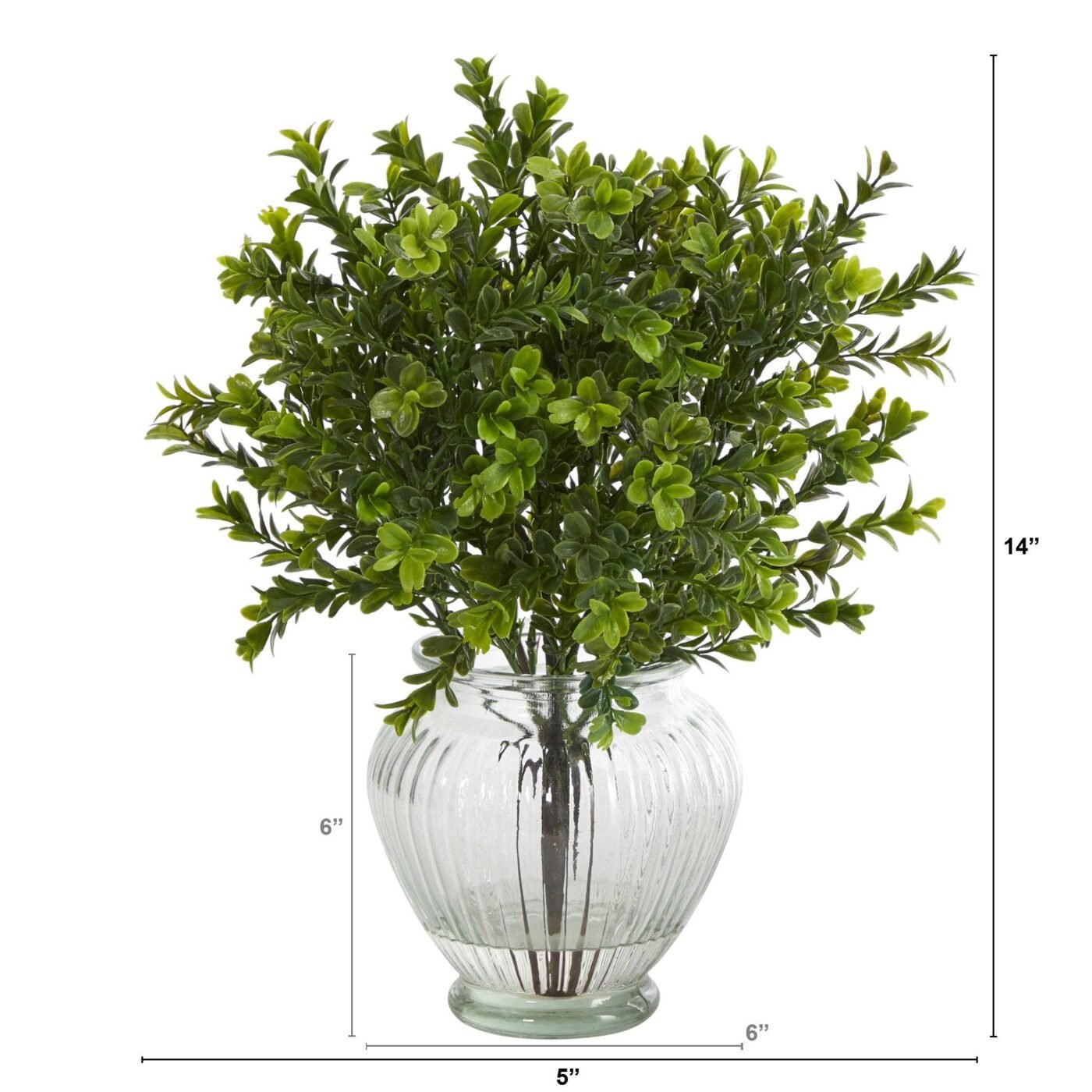 14" Boxwood Artificial Plant in Glass Planter (Indoor/Outdoor)