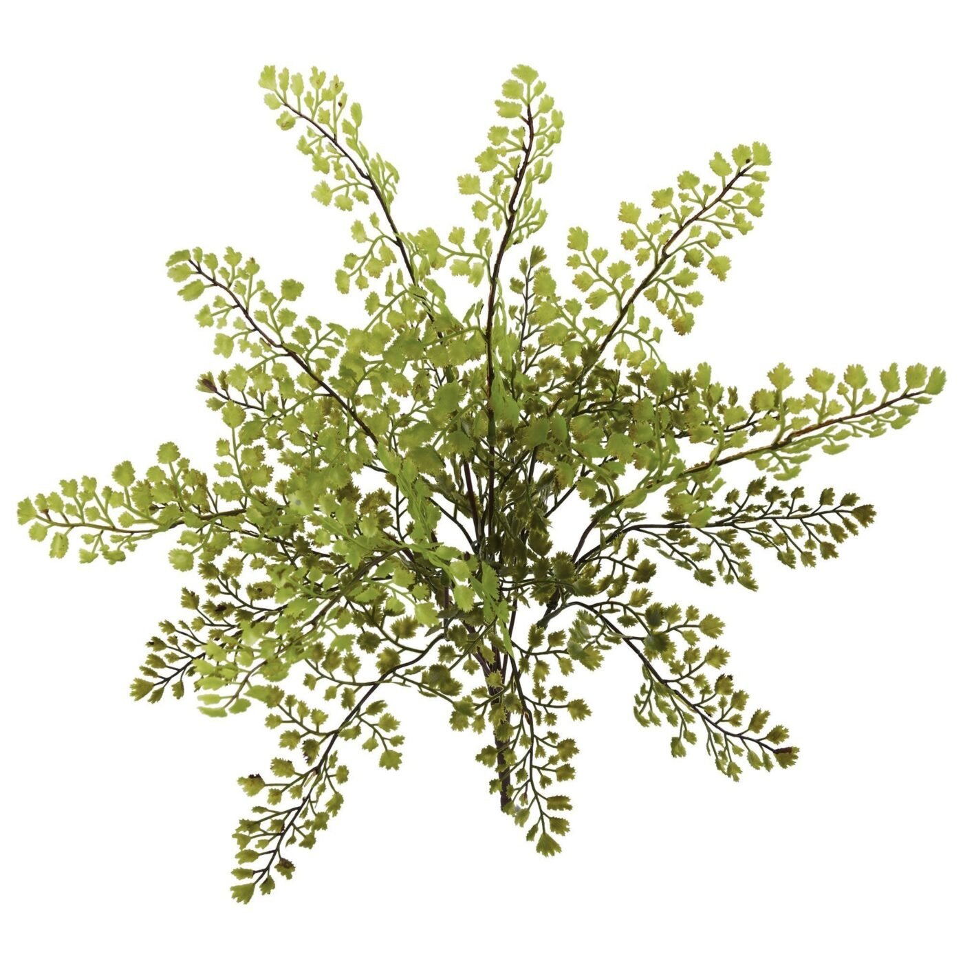 15" Maiden Hair Artificial Plant (Set of 12)