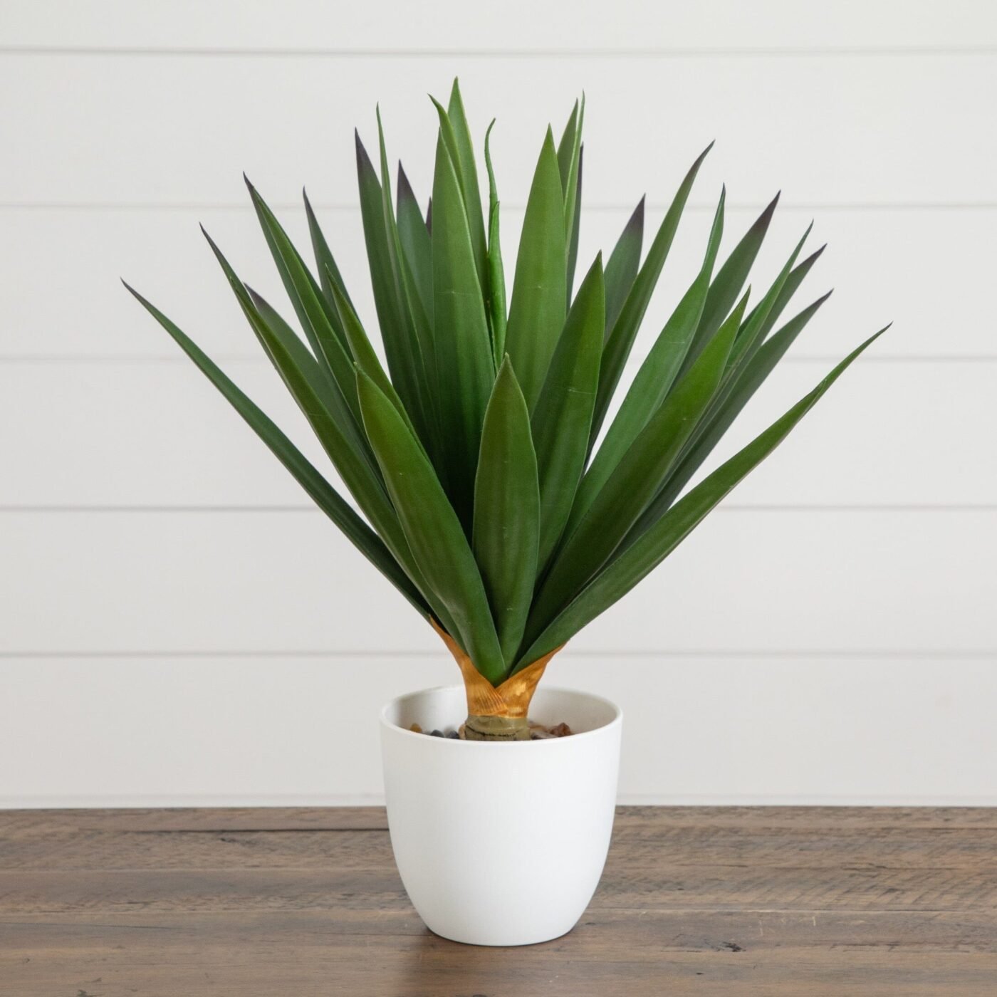 15" UV Resistant Artificial Agave Plant in White Planter (Indoor/Outdoor)