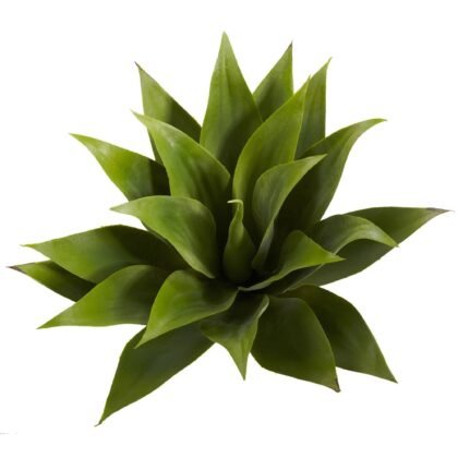 17" Agave Succulent Plant (Set of 2)