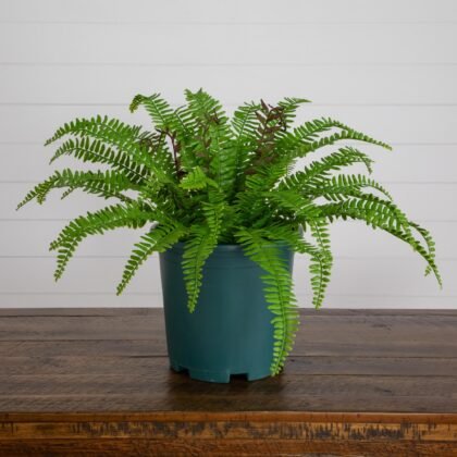 17" UV Resistant Artificial Boston Fern Plant (Indoor/Outdoor)