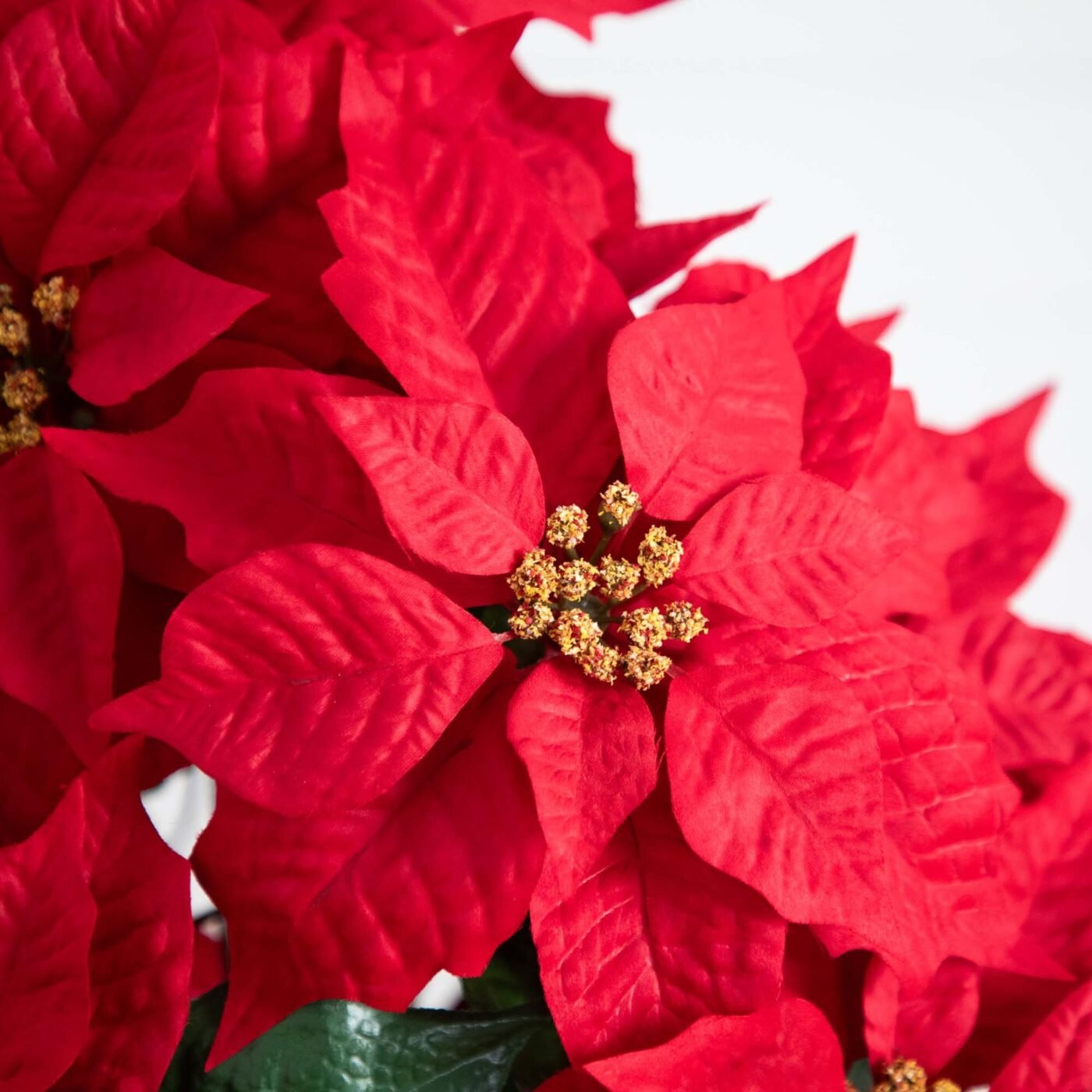 19" Artificial Lush Poinsettia Arrangement in Red Wrapped Planter
