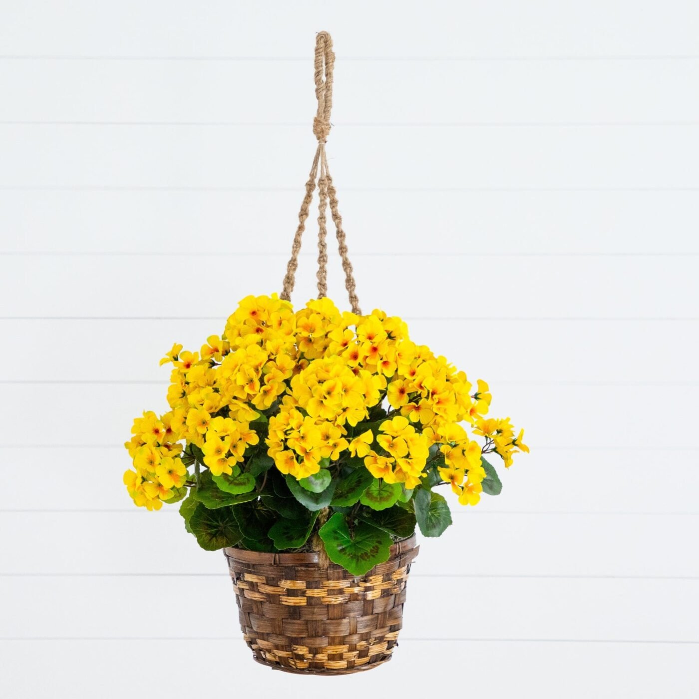19" Geranium Hanging Basket UV Resistant (Indoor/Outdoor)
