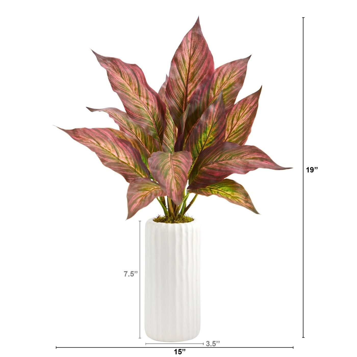 19" Musa Leaf Artificial Plant in White Planter