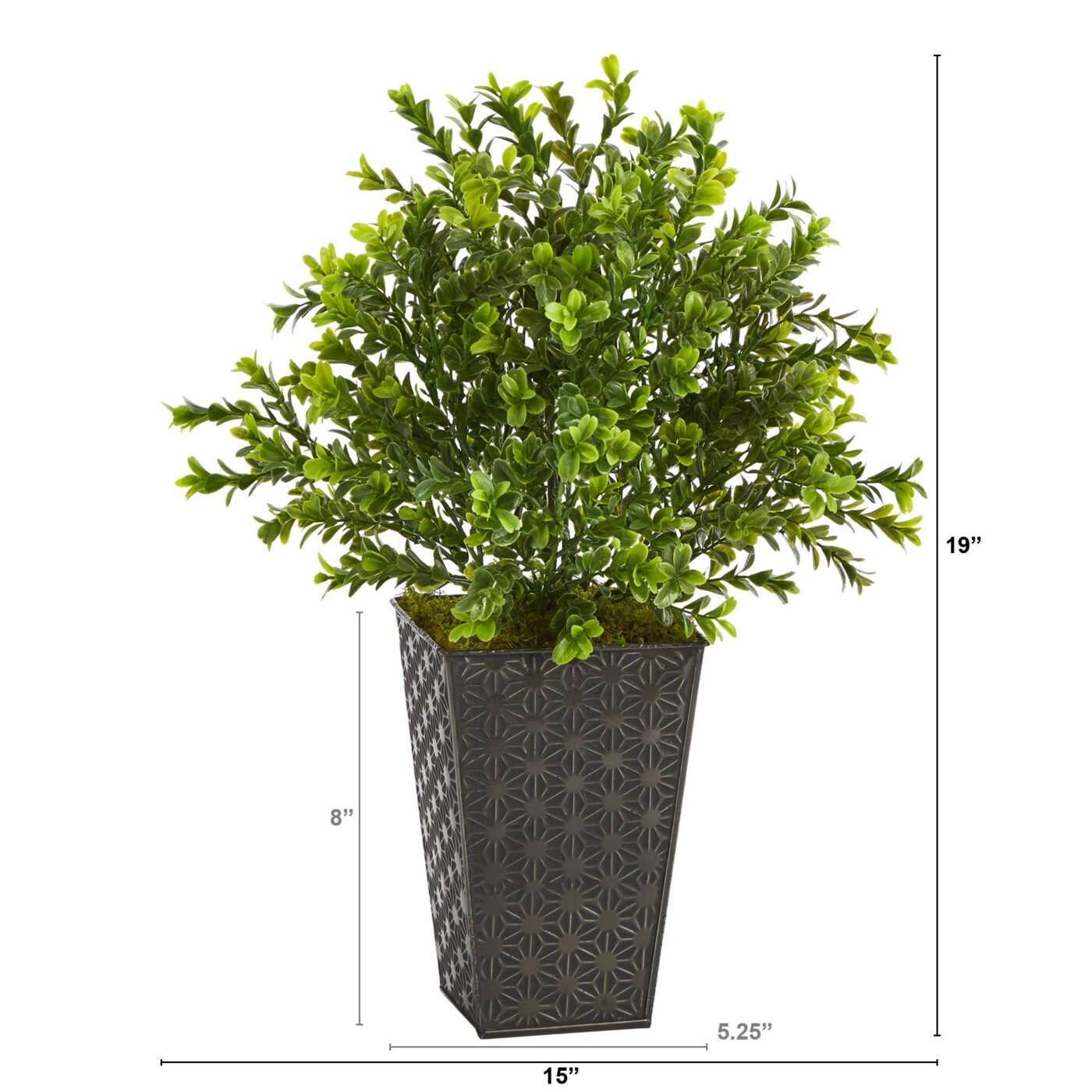 19" Sweet Grass Artificial Plant in Embossed Black Planter (Indoor/Outdoor)