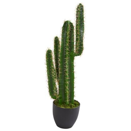 2.5' Artificial Blue Myrtle Cactus Plant