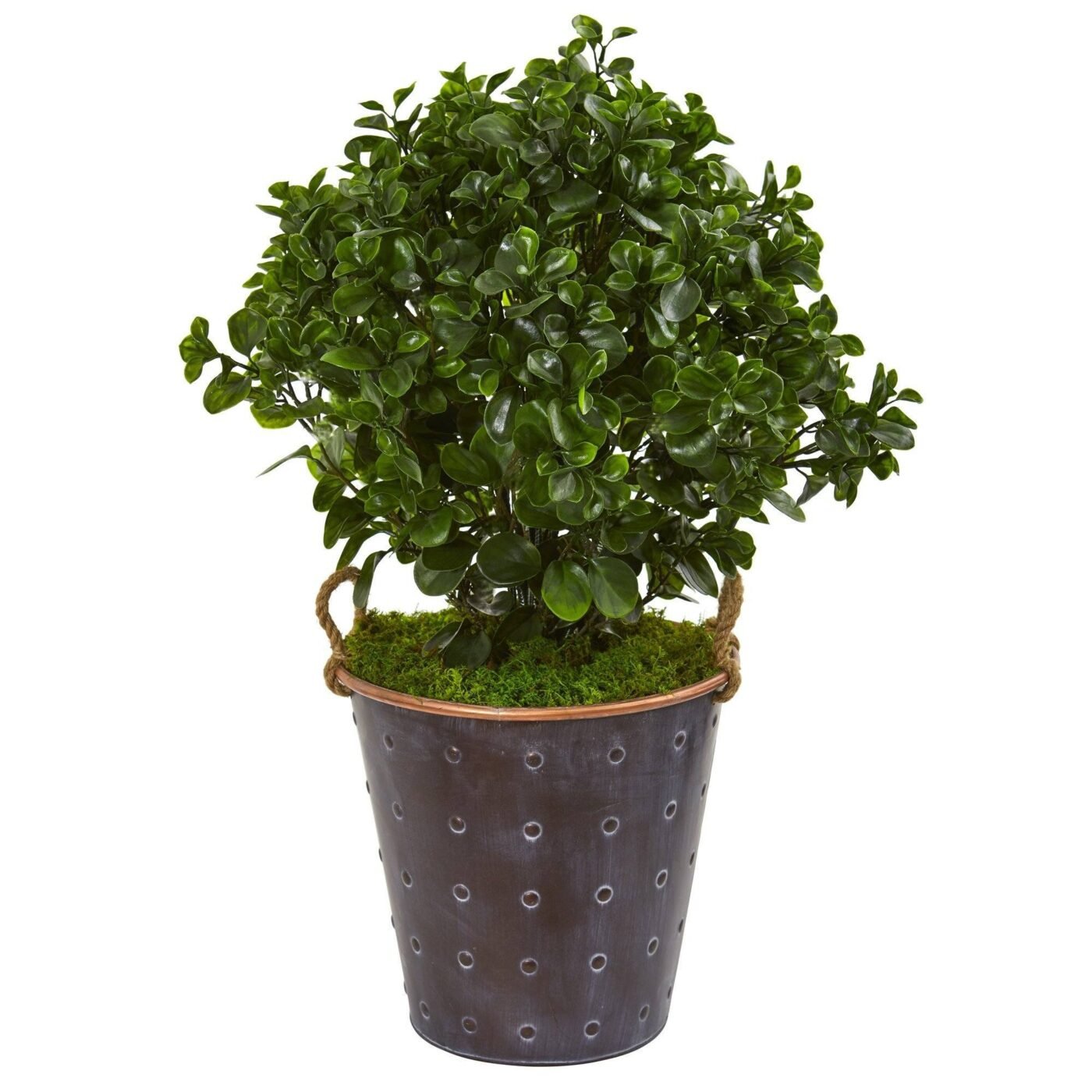 2.5' Peperomia Artificial Plant in Metal Planter (Indoor/Outdoor)