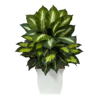 2' Golden Dieffenbachia Artificial Plant in White Metal Planter