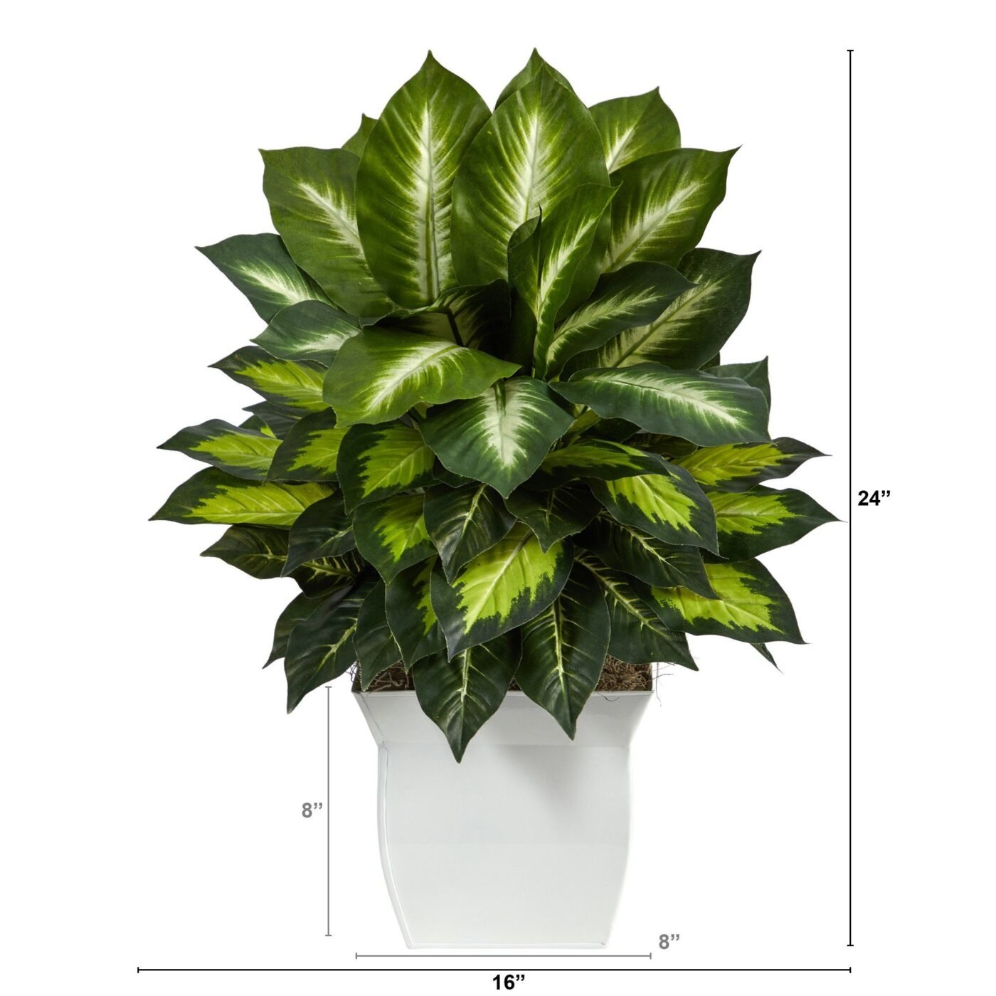 2' Golden Dieffenbachia Artificial Plant in White Metal Planter