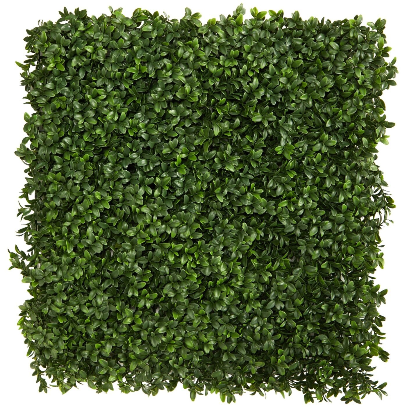 20" Boxwood Artificial Wall Mat (Indoor/Outdoor) (Set of 2)
