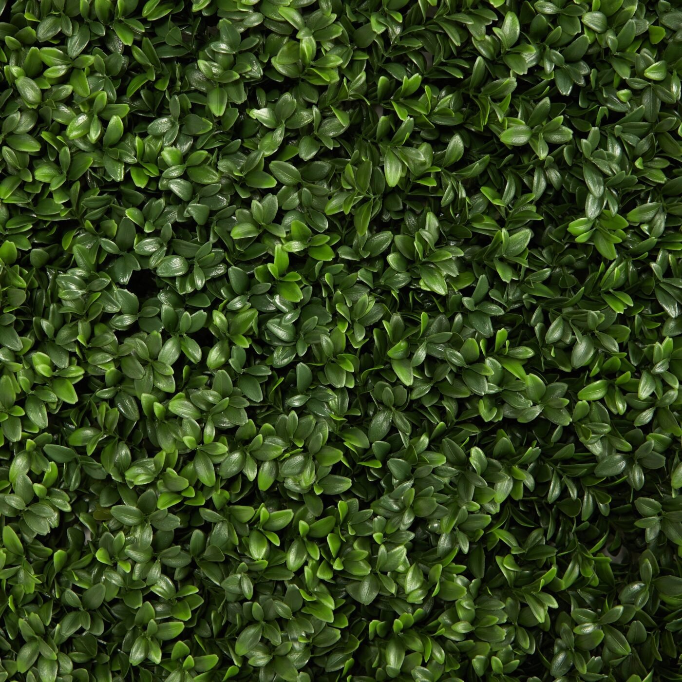 20" Boxwood Artificial Wall Mat (Indoor/Outdoor) (Set of 2)