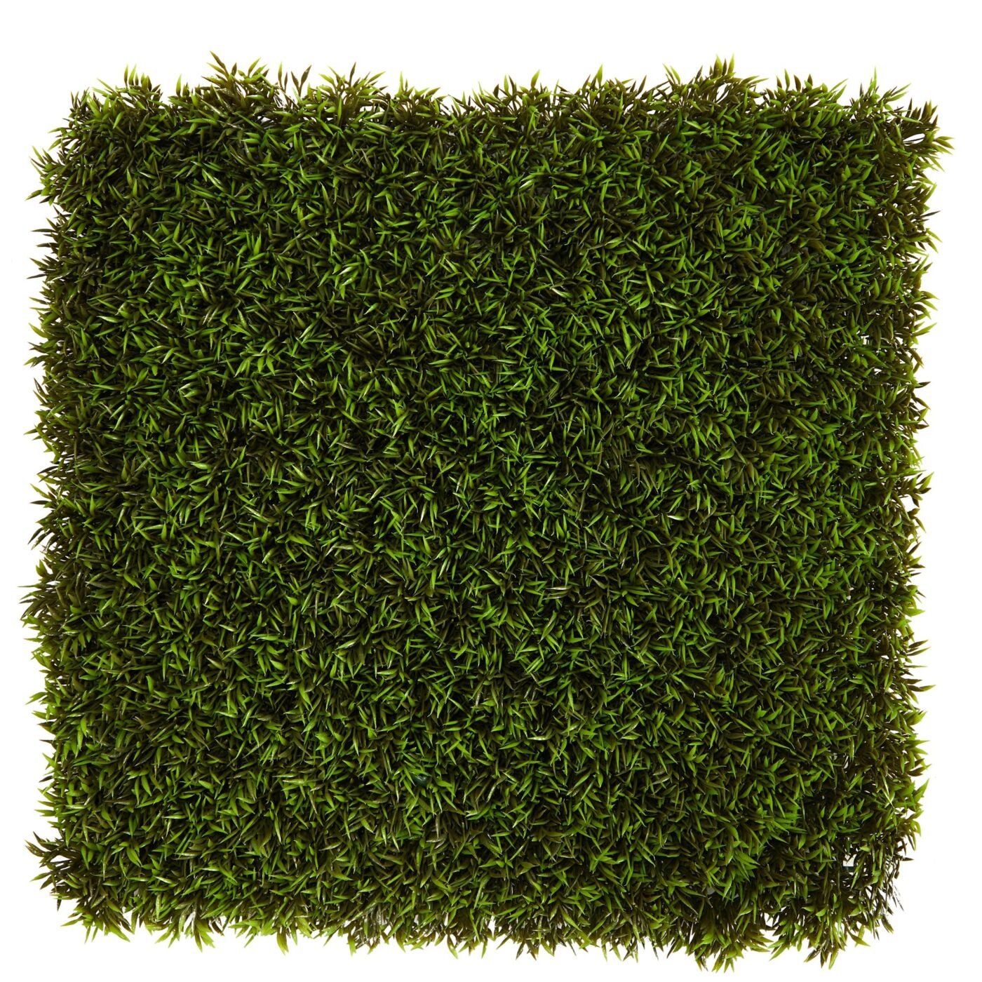 20" Mini Pordocarpus Artificial Wall Mat (Indoor/Outdoor) (Set of 2)