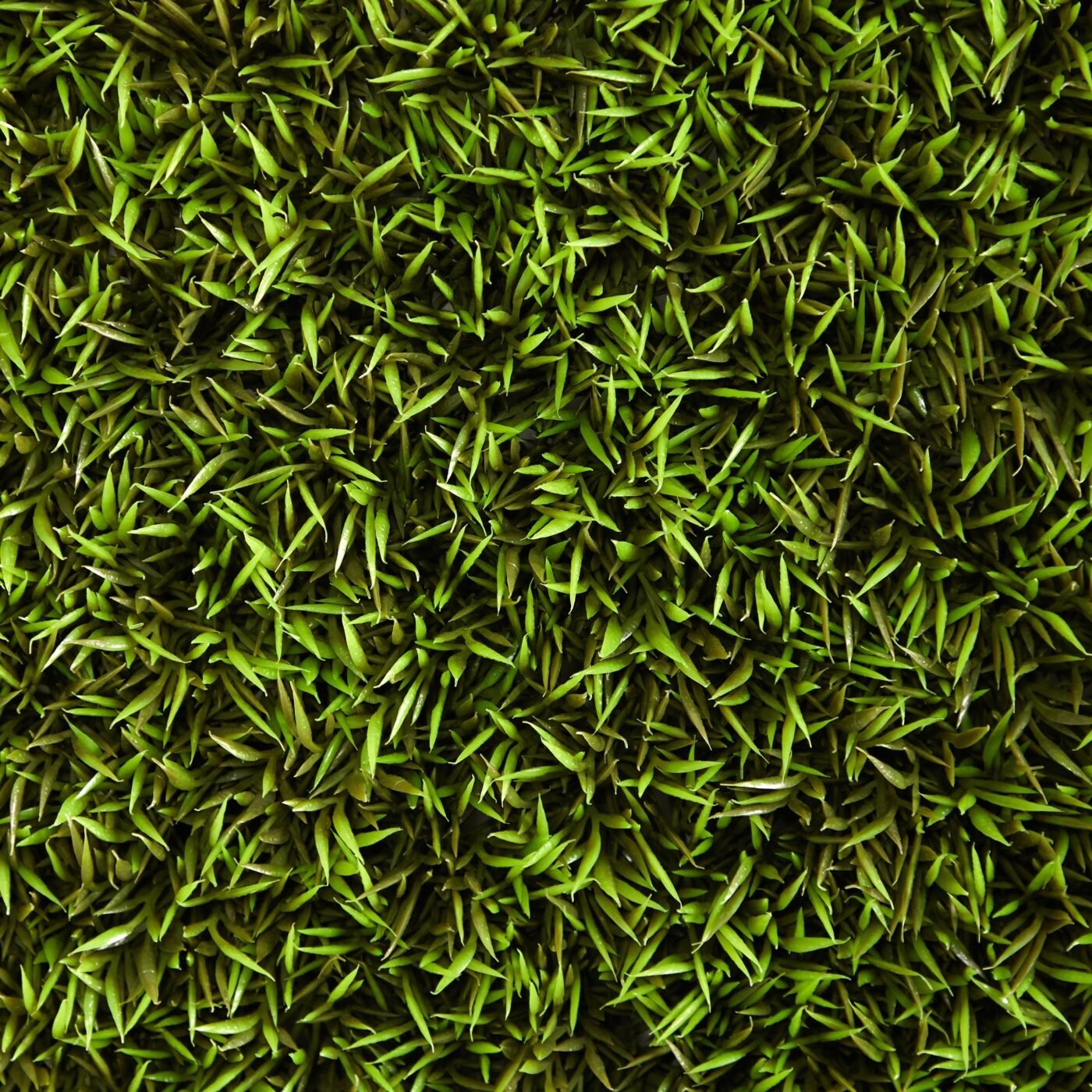 20" Mini Pordocarpus Artificial Wall Mat (Indoor/Outdoor) (Set of 2)