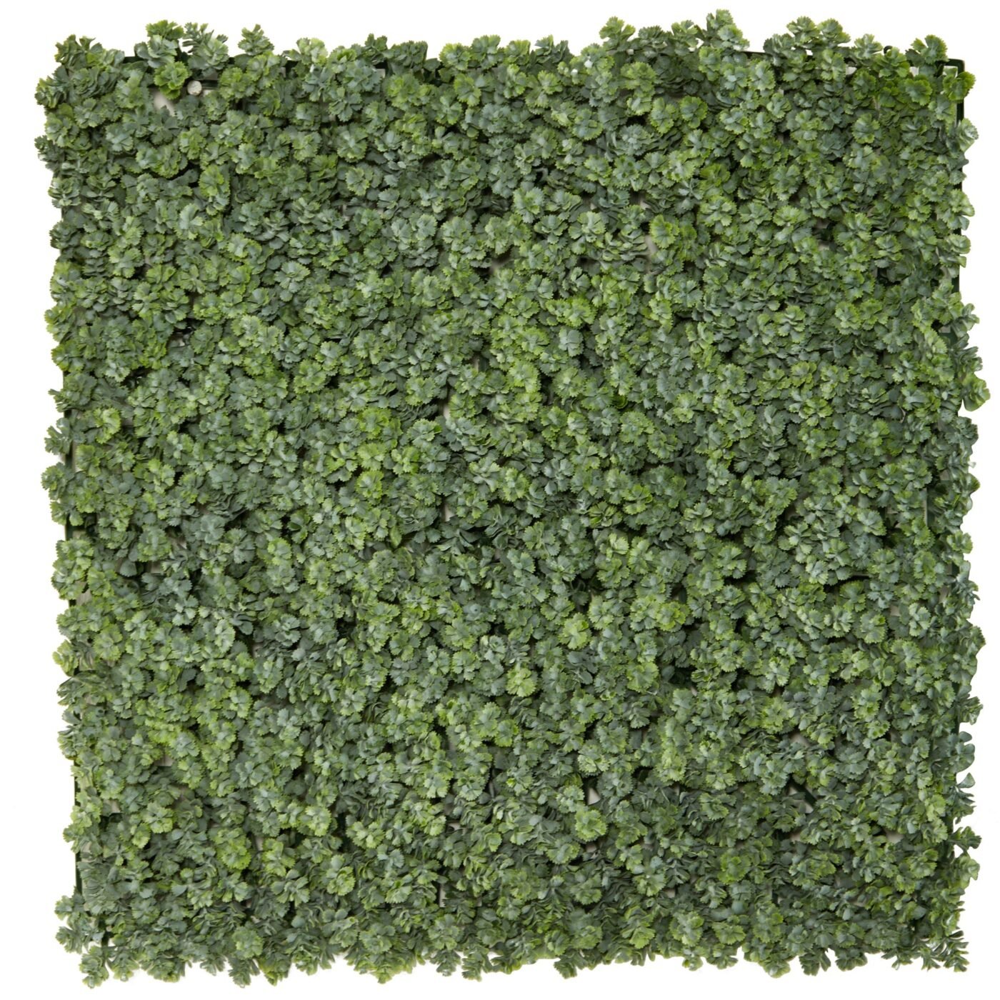 20" Succulent Artificial Wall Mat (Indoor/Outdoor) (Set of 2)