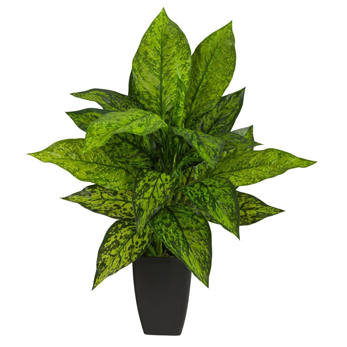 21" Dieffenbachia Artificial Plant in Black Planter