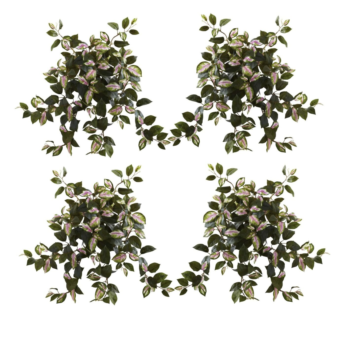 21" Hoya Hanging Bush (Set of 4)