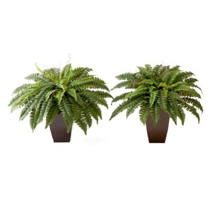 23" Artificial Boston Fern Plant with Tapered Bronze Square Metal Planter DIY KIT - Set of 2