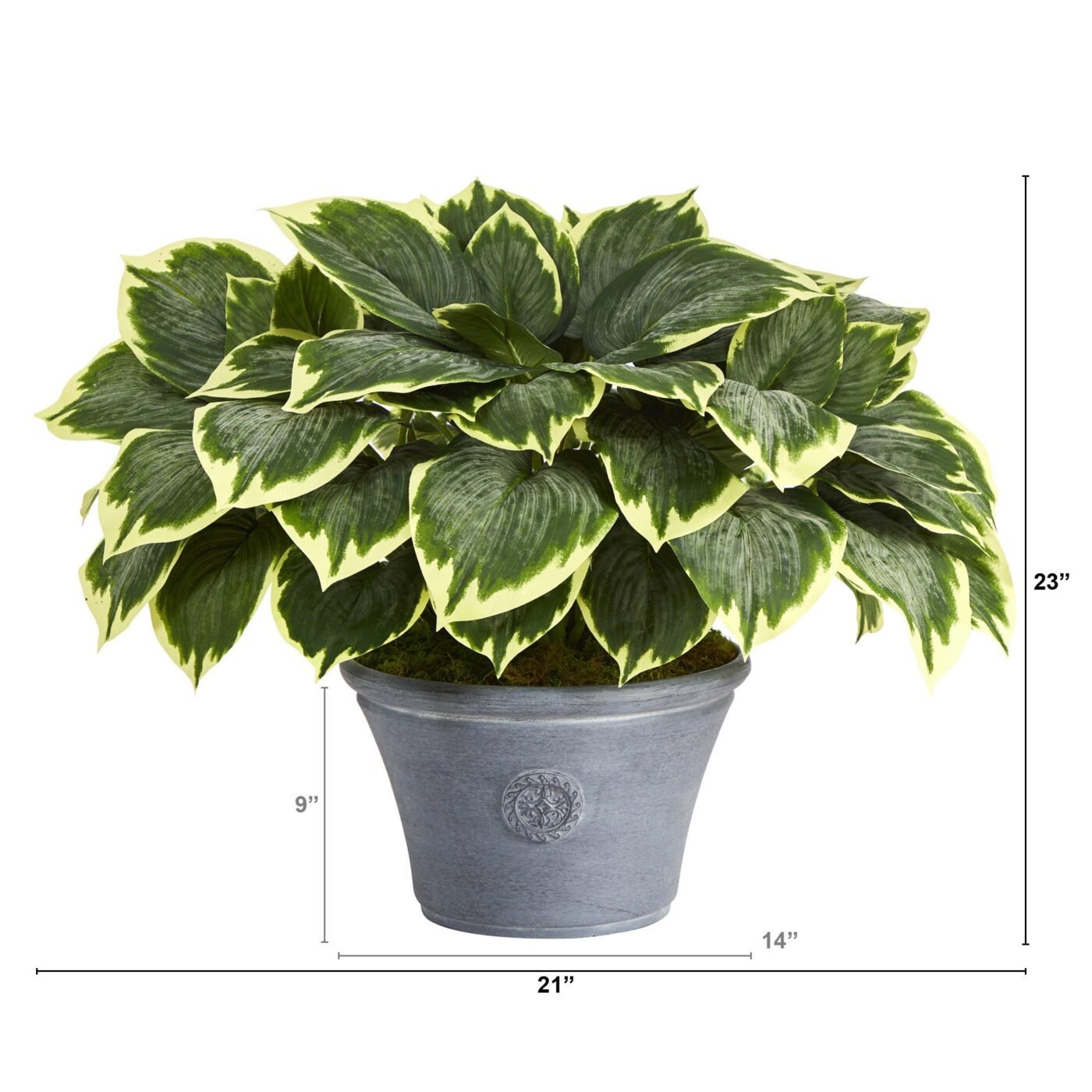 23" Variegated Hosta Artificial Plant in Gray Planter