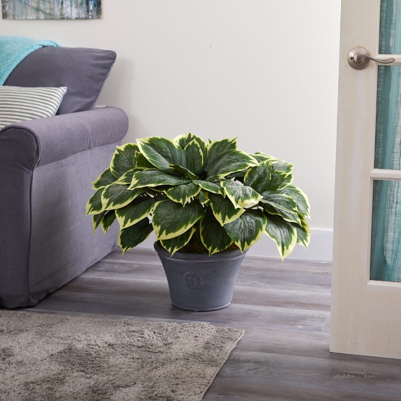 23" Variegated Hosta Artificial Plant in Gray Planter