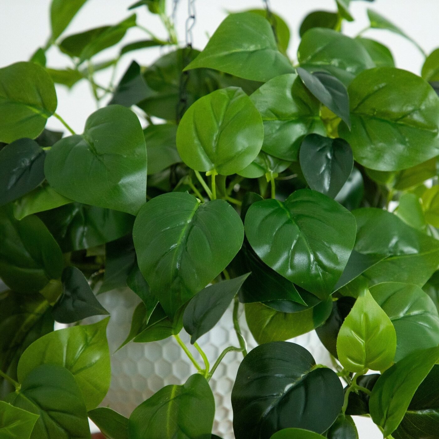 24" UV Resistant Artificial Philodendron with 50 Warm White LED Lights in White Hanging Basket