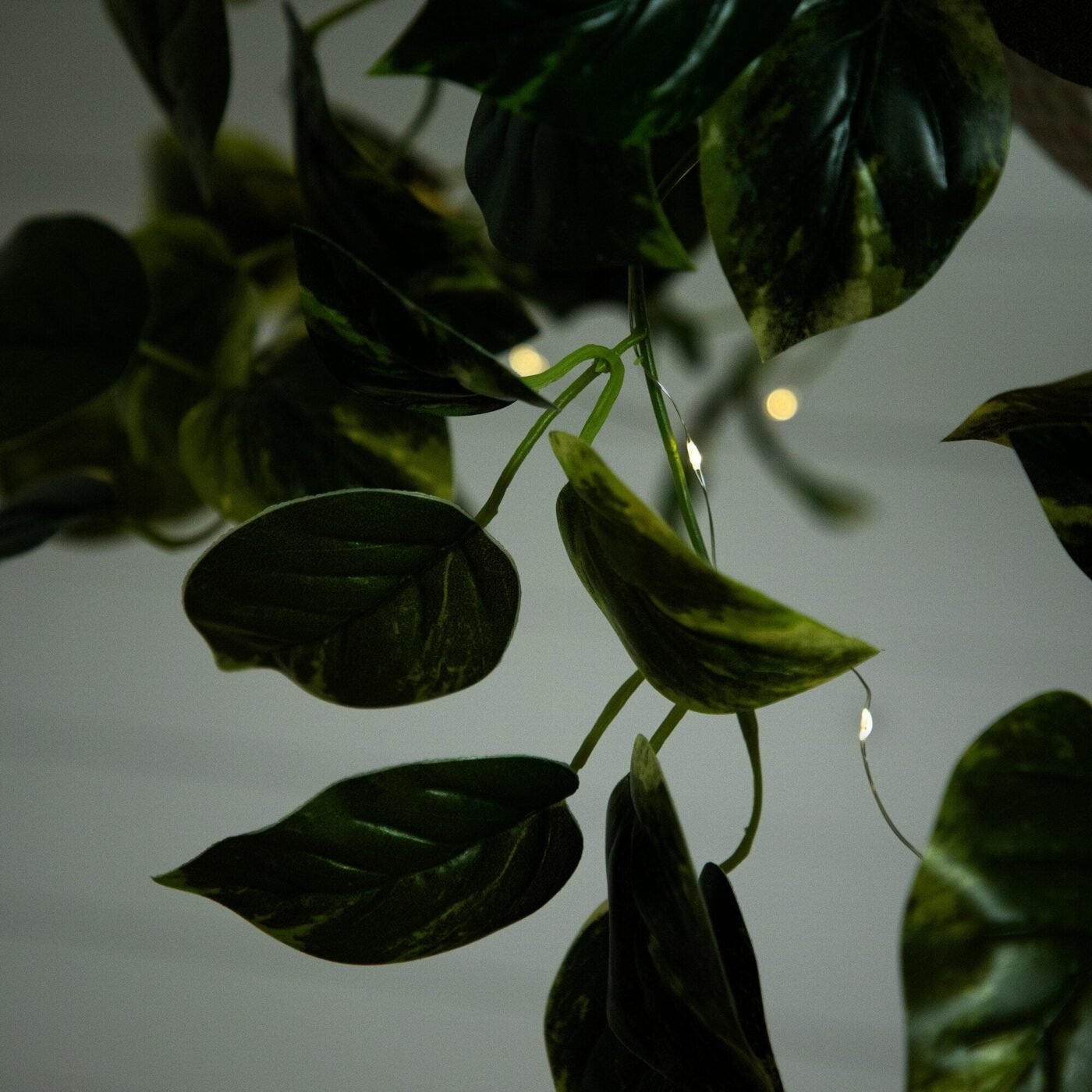24"UV Resistant Artificial Pothos with 50 Warm White LED Lights in White Hanging Basket