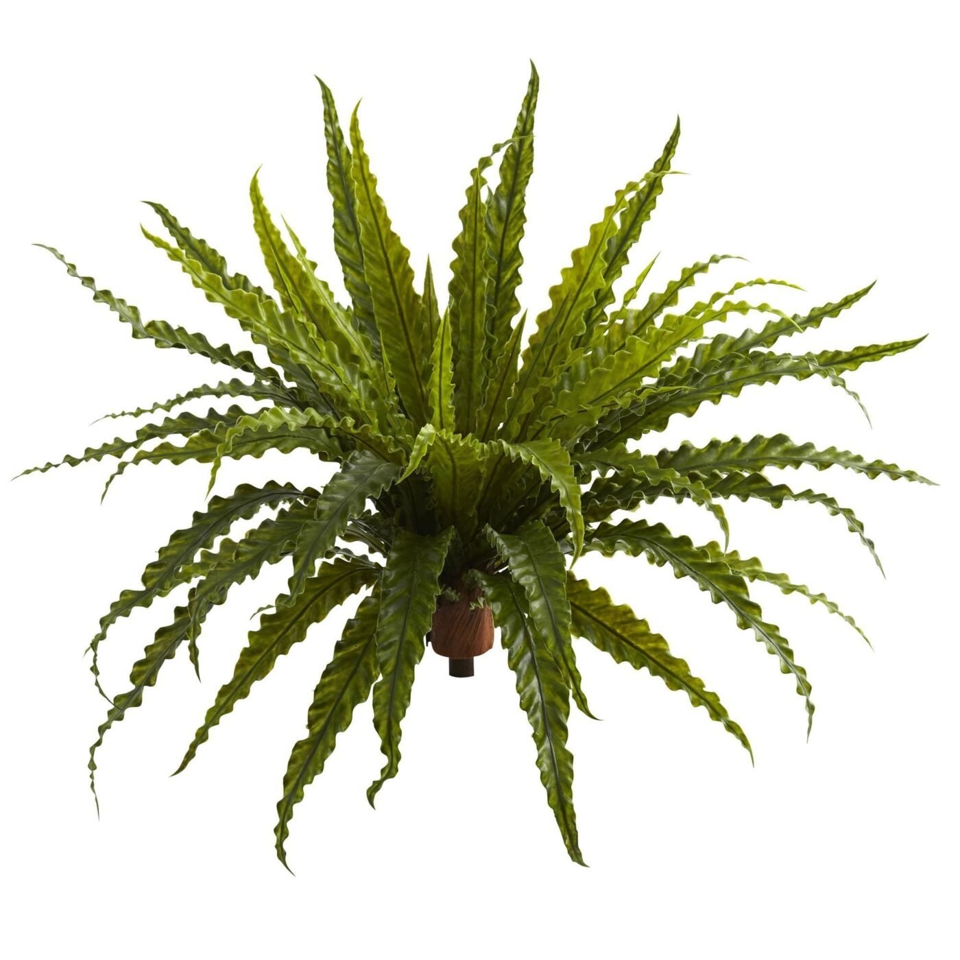 26" Asplenium Artificial Plant (Set of 2)