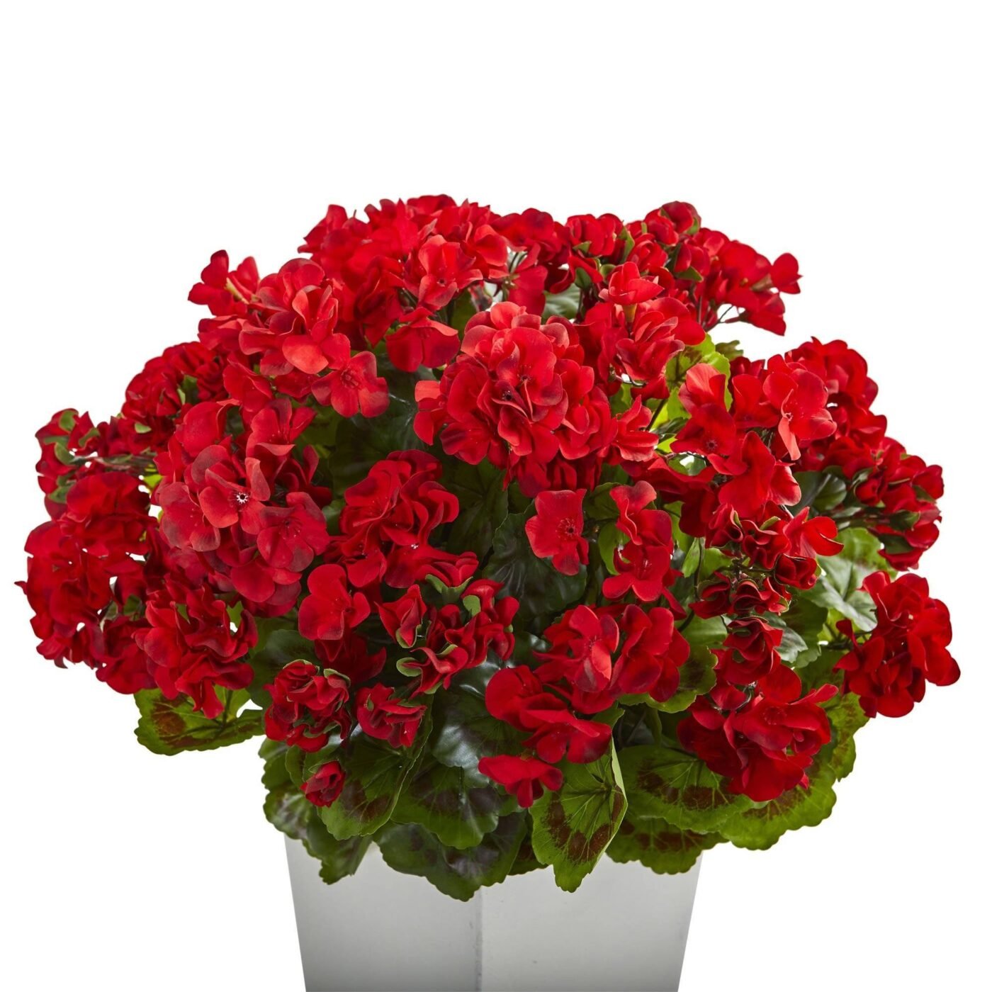 27" Geranium Artificial Plant in White Planter UV Resistant (Indoor/Outdoor)