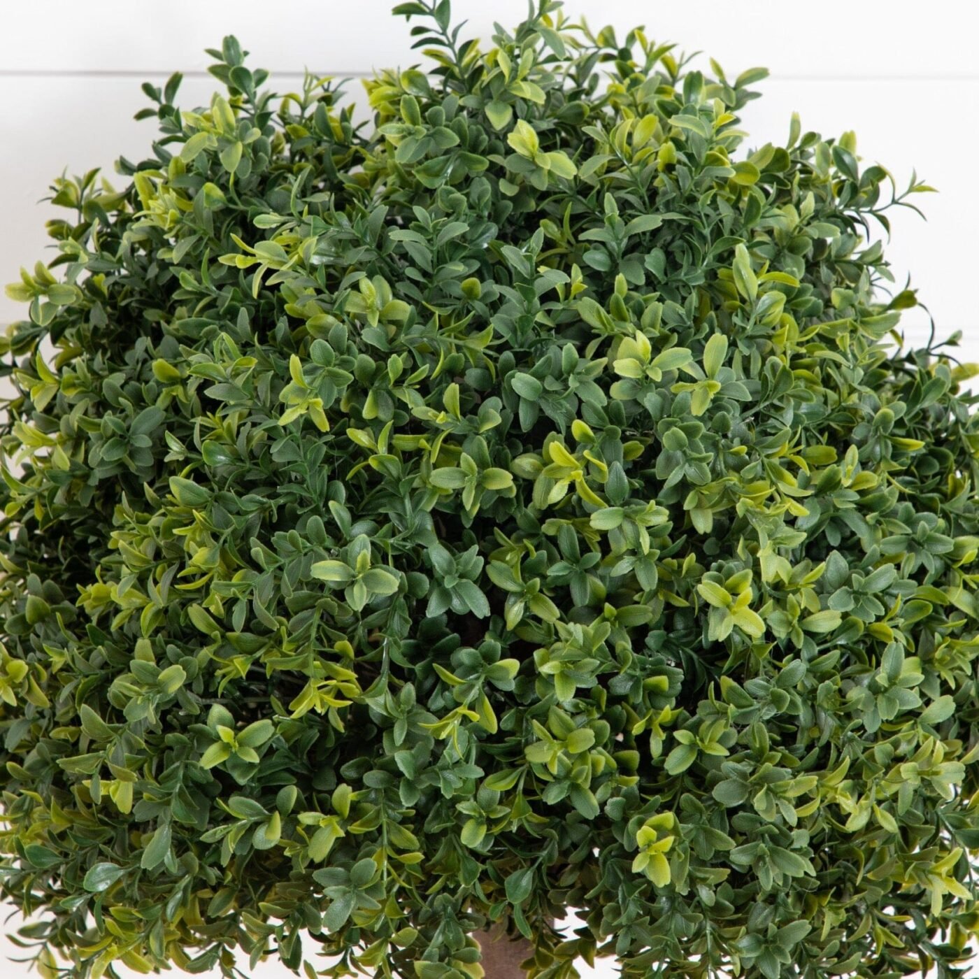 27" UV Resistant Artificial Boxwood Topiary with Integrated Ground Stake (Indoor/Outdoor) - Set of 2
