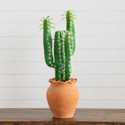 28" Artificial Cactus in Terracotta Planter