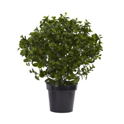 28" Peperomia Plant UV Resistant (Indoor/Outdoor)