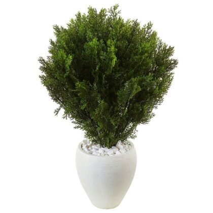 3' Cedar in Oval Textured Planter (Indoor/Outdoor)