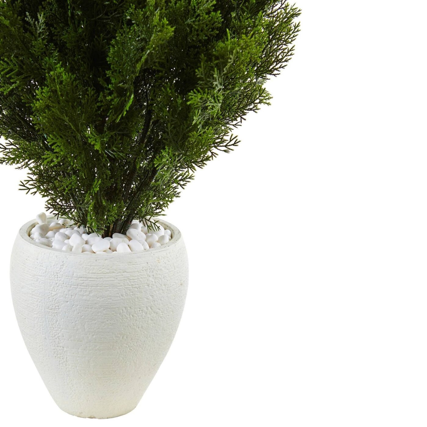 3' Cedar in Oval Textured Planter (Indoor/Outdoor)