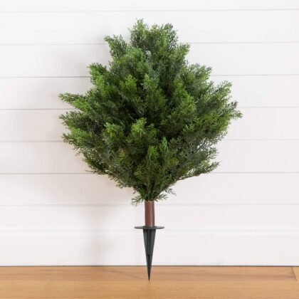 Cedar