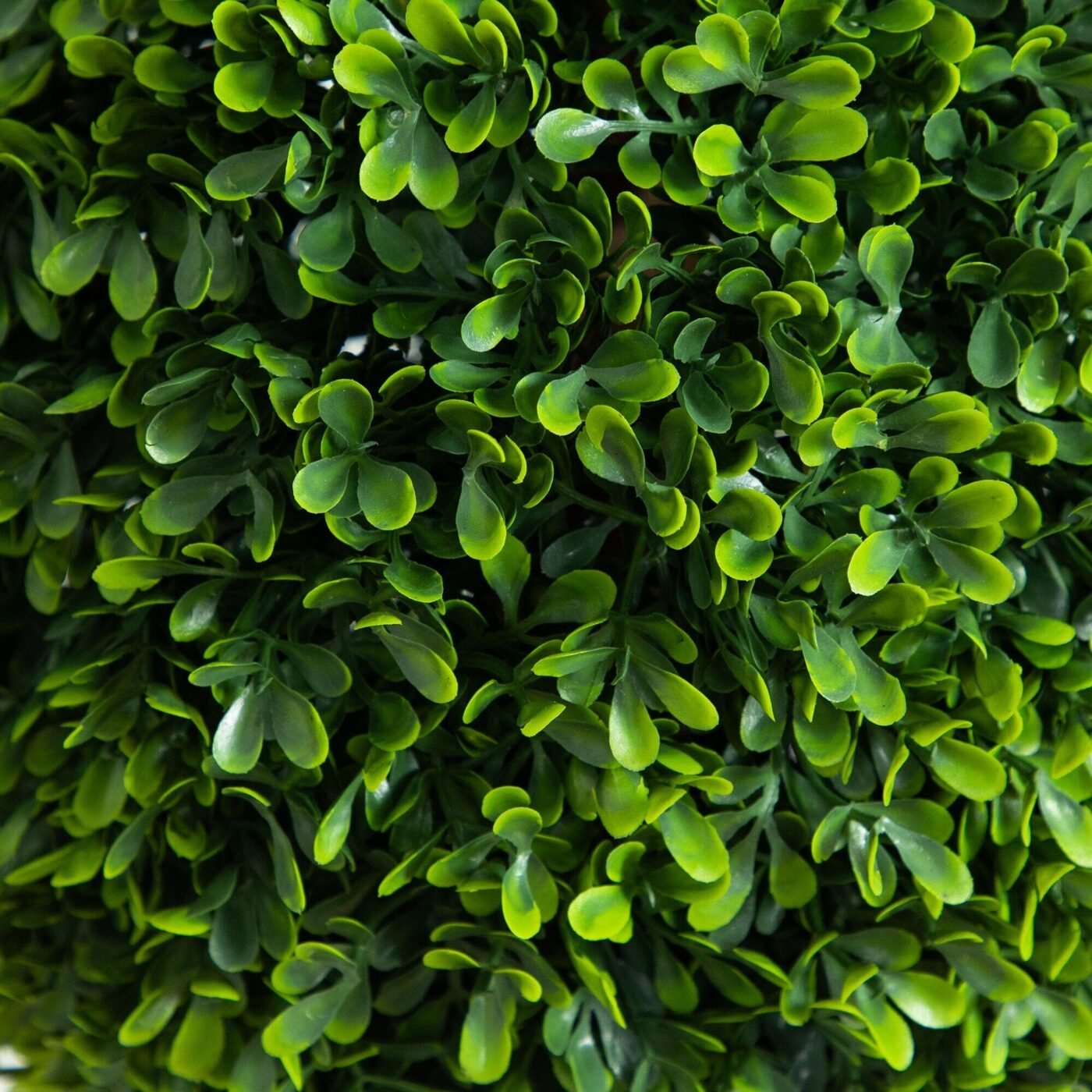 3' UV Resistant Artificial Double Ball Boxwood Topiary with Integrated Ground Stake (Indoor/Outdoor) - Set of 2