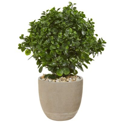 30" Peperomia Artificial Plant in Sand Stone Planter (Indoor/Outdoor)