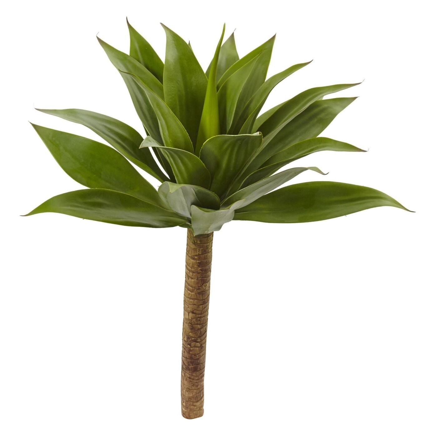 32" Agave Plant w/Stem
