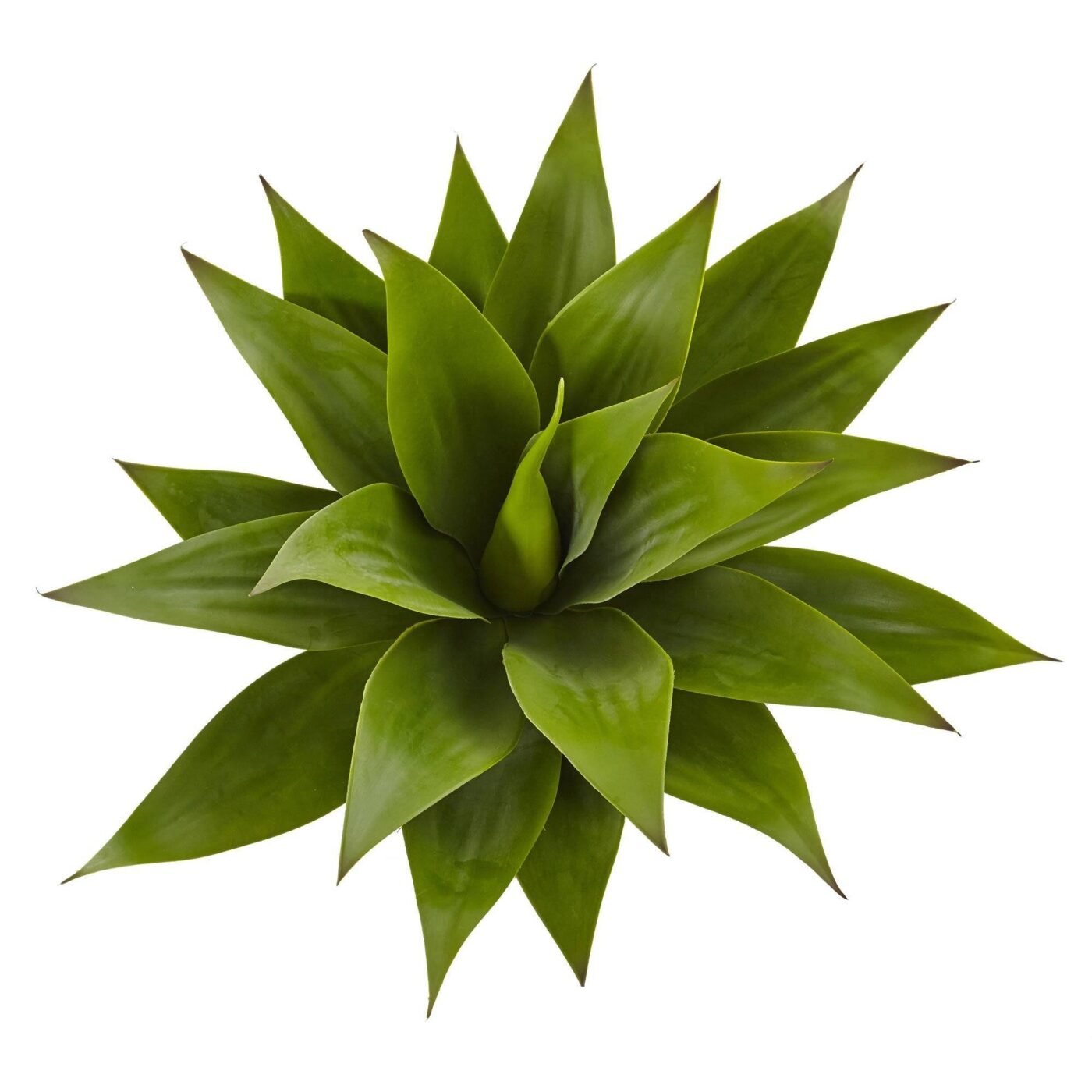 32" Agave Plant w/Stem