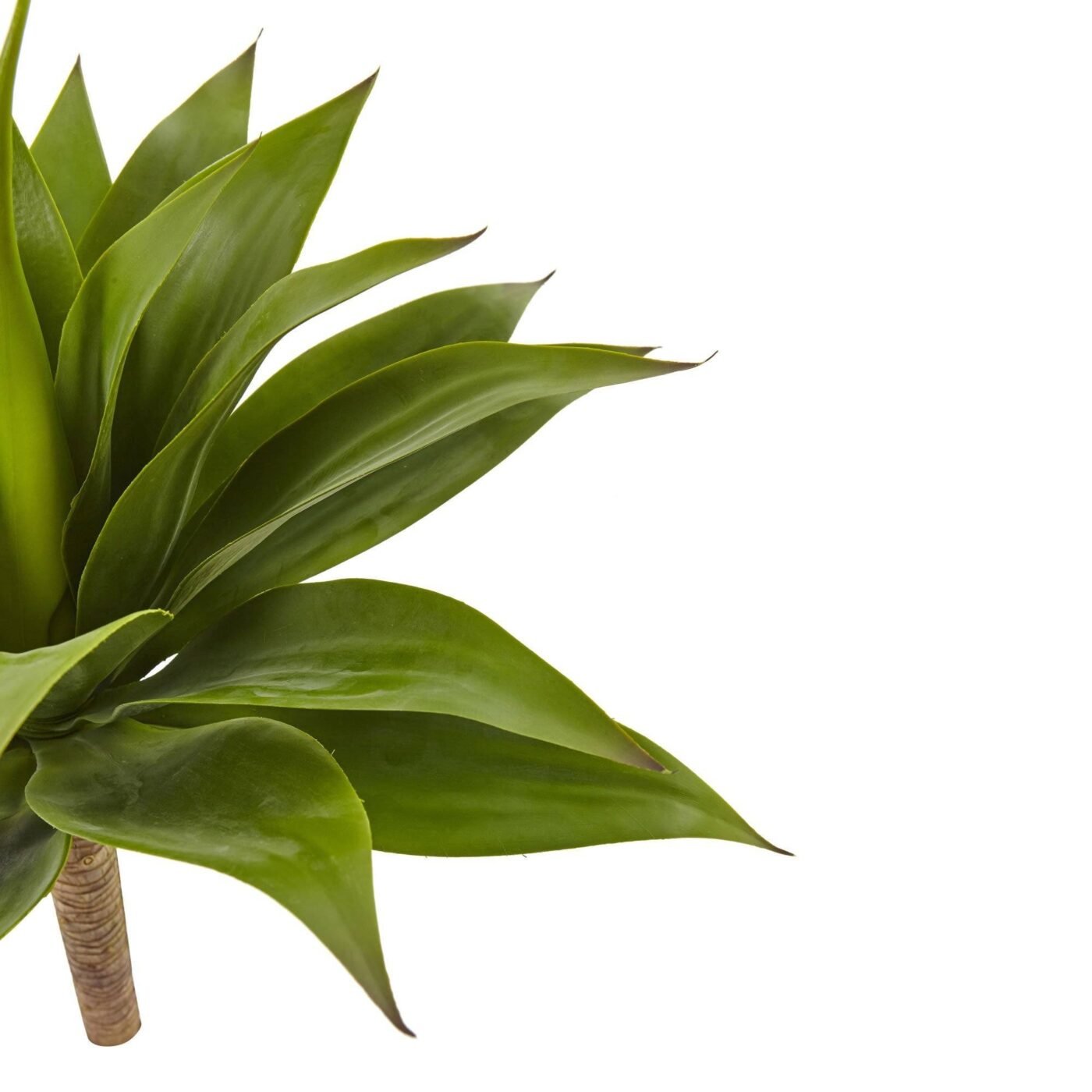 32" Agave Plant w/Stem