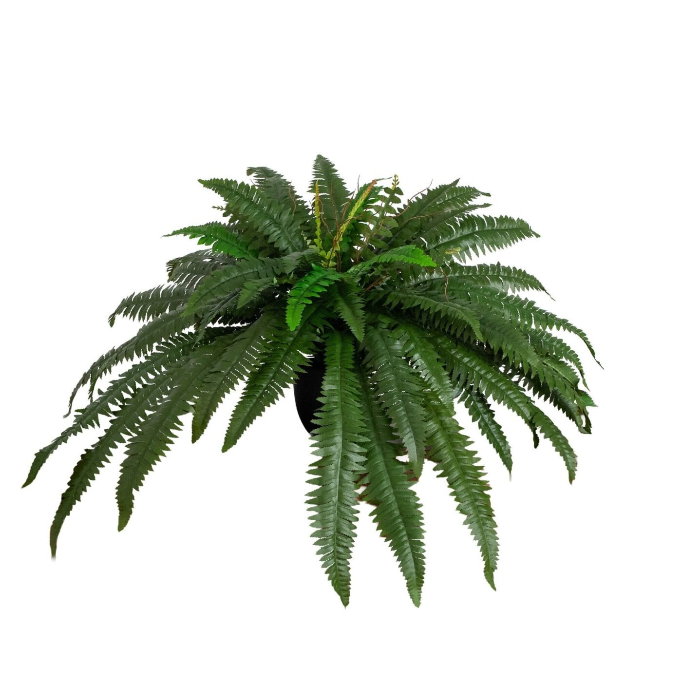 32" Artificial Self-Shaped Boston Fern Plan in Black Planter