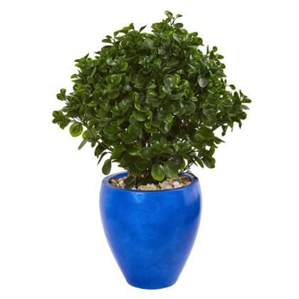 32" Peperomia Artificial Plant in Blue Planter(Indoor/Outdoor)